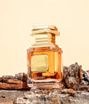 Perfume Luxure